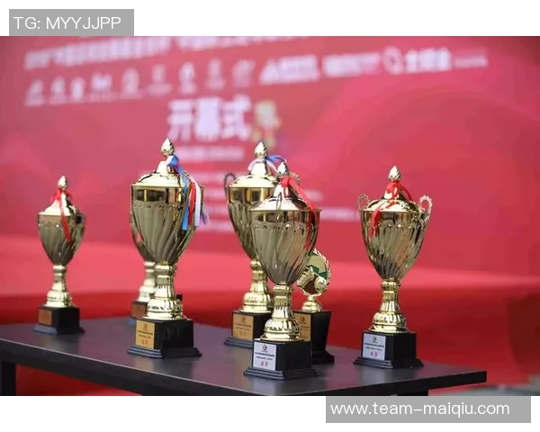 探索4号足球品牌的独特魅力与市场竞争力分析