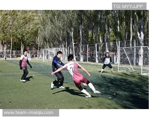 探索成都足球球衣的设计魅力与文化内涵,展现城市足球精神与团队风采