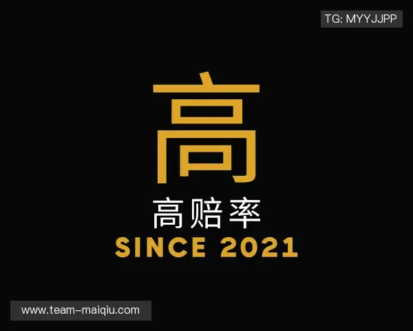 关于2026世界杯